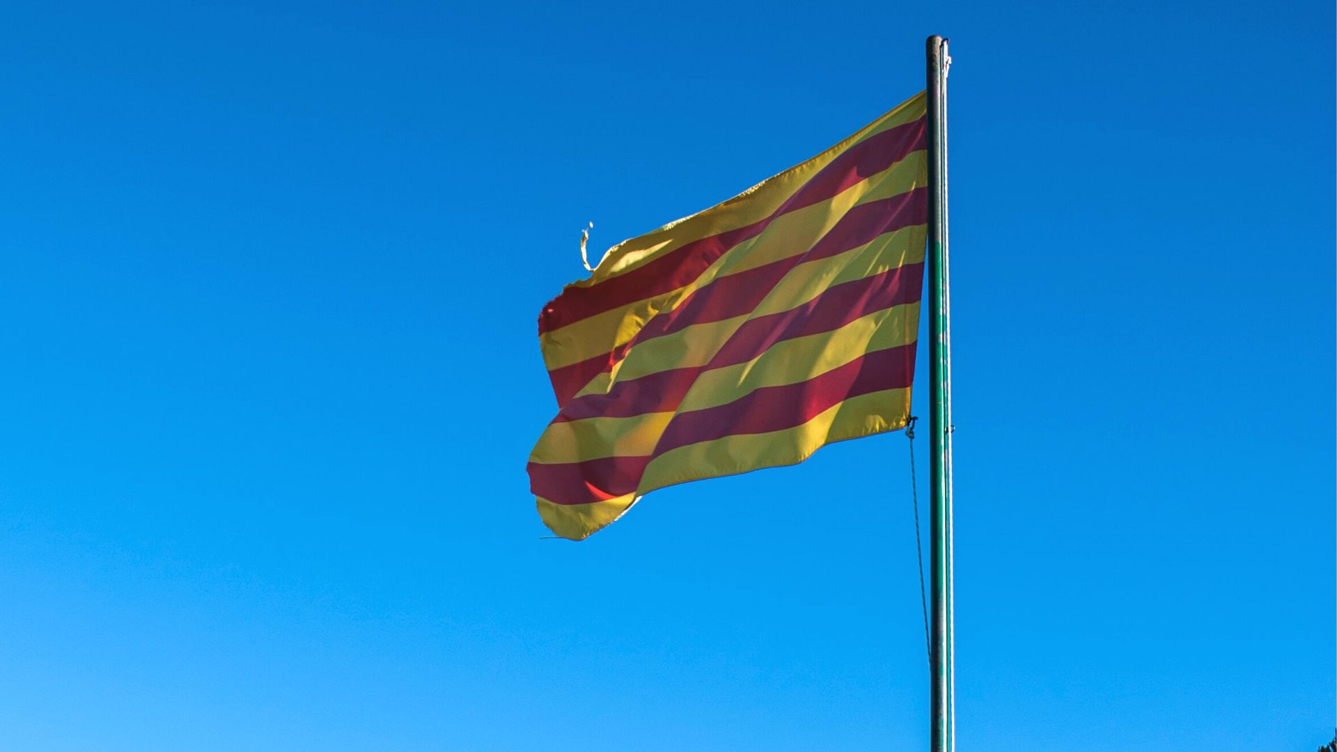 Catalunya CEO