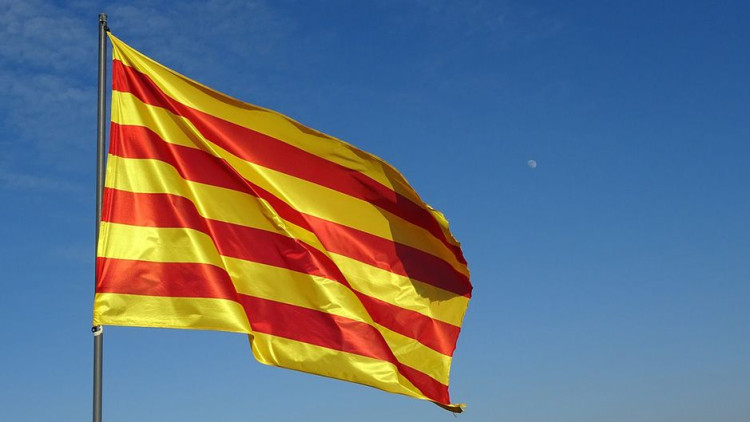 Senyera CEO enquesta