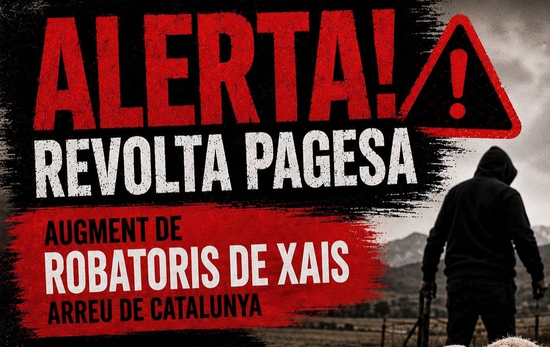 Robatoris xais